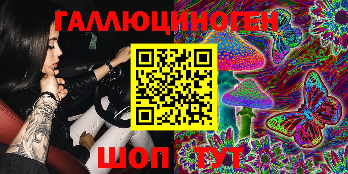 Карталы  Псилоцибиновые грибы Psilocybine cubensis  Вход с VPN 